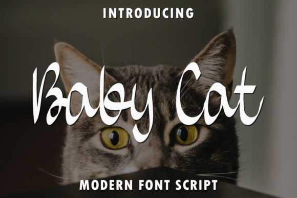 Elevate Your Brand with the Baby Cat Handwritten Font