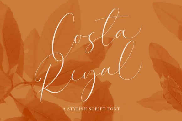 Elevate Your Brand with the Costa Riyal Typeface