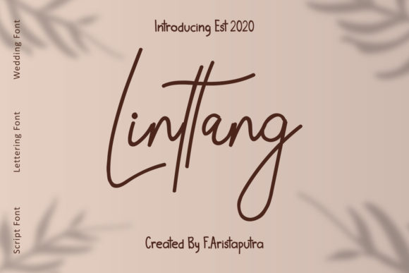 Linttang Font: Elegant Script for Handmade Brands
